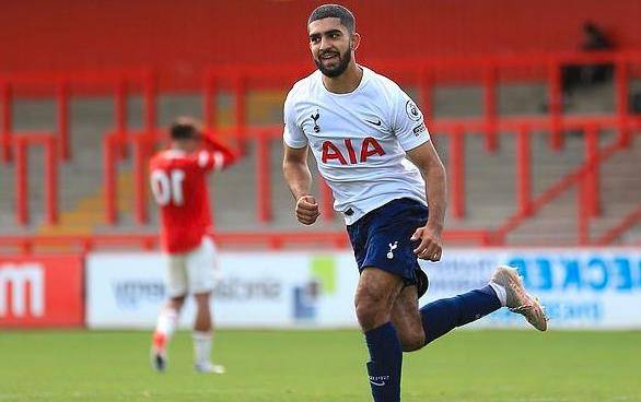 在初期阶段 在初期阶段